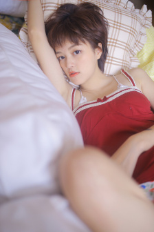 美国派3